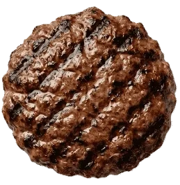 hamburger patty without bun