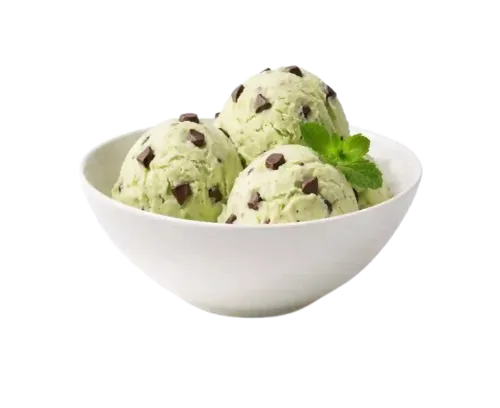 Mint Chocolate Chip