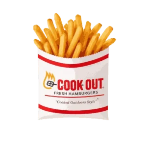 Regular Fries