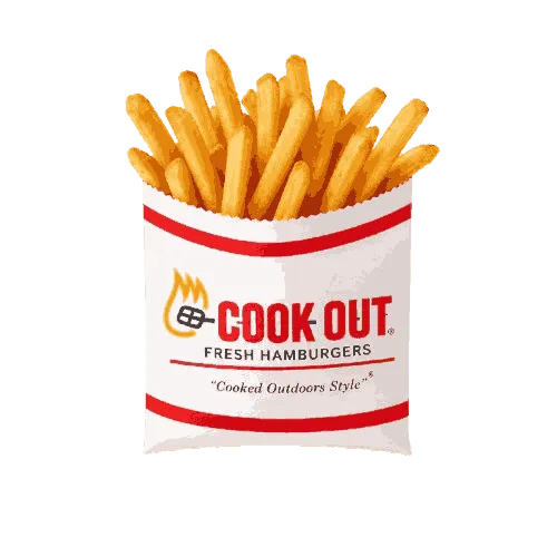 Regular Fries