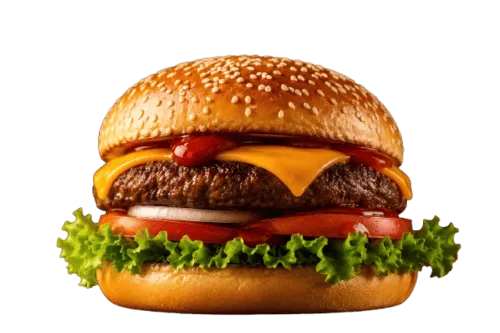 Steak Style Hamburger (Regular)