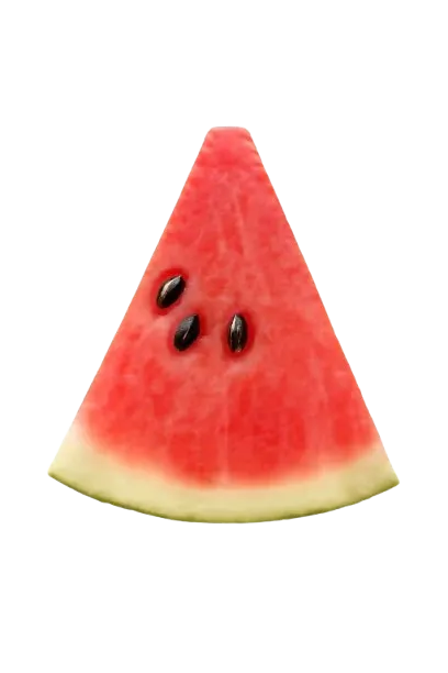 Watermelon Slice