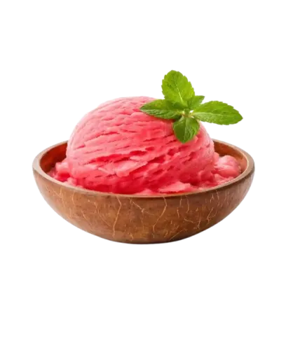 Watermelon Sorbet Summer