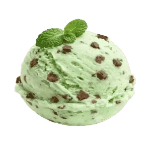Mint Chocolate Chip