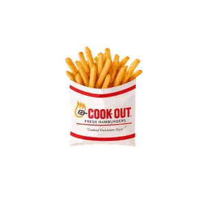 regular fries